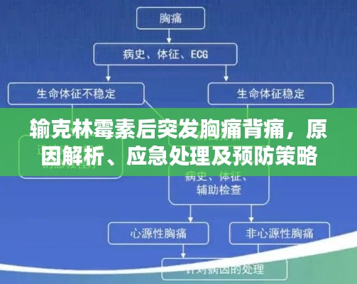 意气风发 第5页