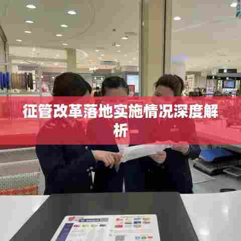 征管改革落地实施情况深度解析