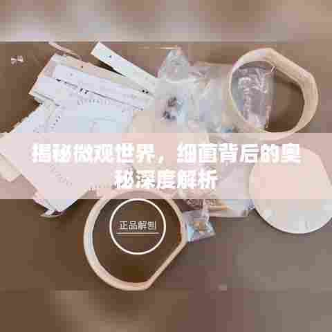 揭秘微观世界，细菌背后的奥秘深度解析