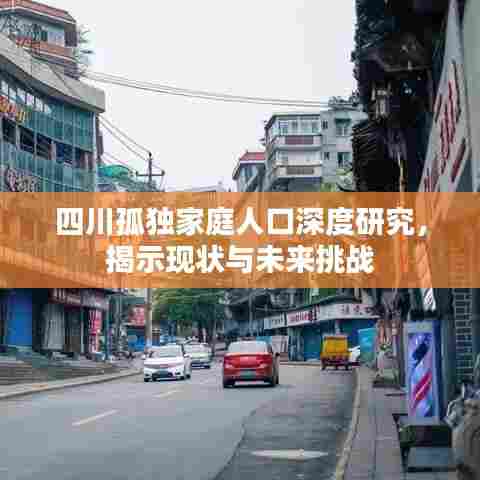 四川孤独家庭人口深度研究，揭示现状与未来挑战