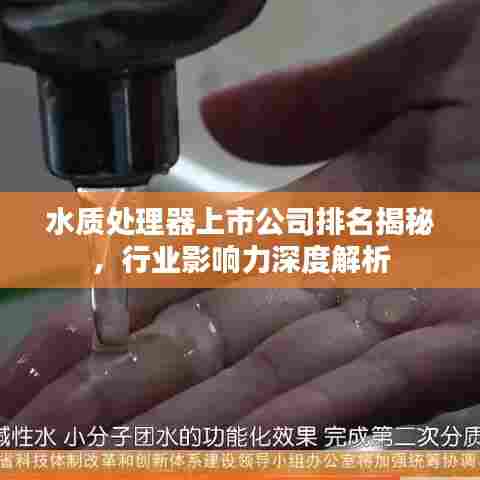水质处理器上市公司排名揭秘，行业影响力深度解析