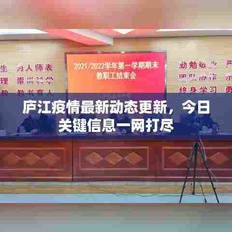 庐江疫情最新动态更新，今日关键信息一网打尽