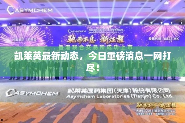 凯莱英最新动态，今日重磅消息一网打尽！
