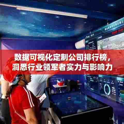 数据可视化定制公司排行榜，洞悉行业领军者实力与影响力