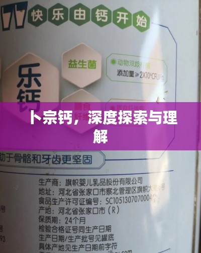 卜宗钙，深度探索与理解