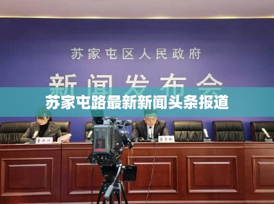 苏家屯路最新新闻头条报道
