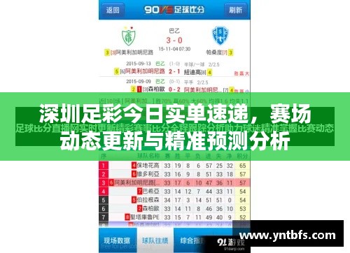深圳足彩今日实单速递，赛场动态更新与精准预测分析