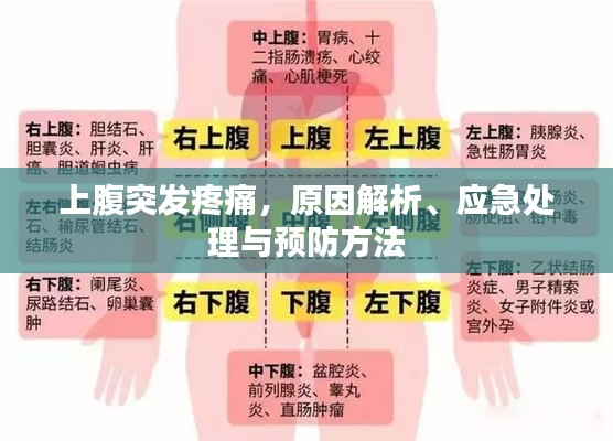 上腹突发疼痛，原因解析、应急处理与预防方法