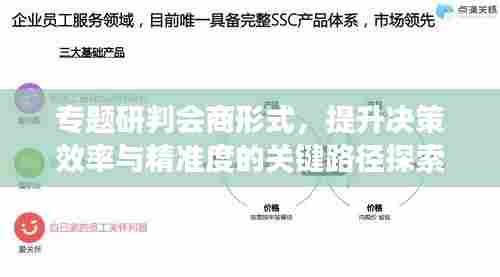 专题研判会商形式，提升决策效率与精准度的关键路径探索