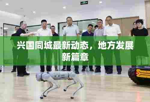 兴国同城最新动态，地方发展新篇章