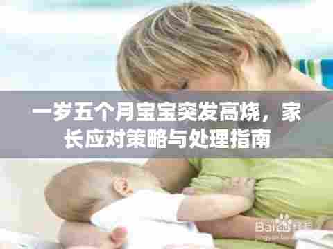 一岁五个月宝宝突发高烧，家长应对策略与处理指南