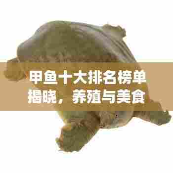甲鱼十大排名榜单揭晓，养殖与美食的完美结合大揭秘