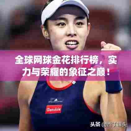 全球网球金花排行榜，实力与荣耀的象征之巅！