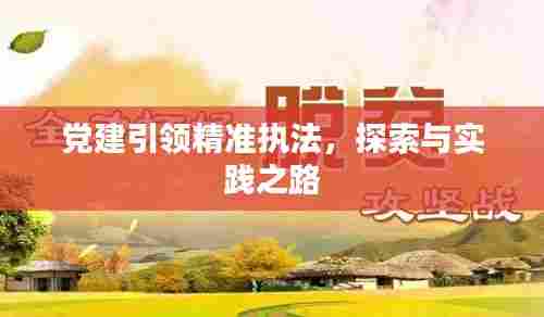 党建引领精准执法，探索与实践之路