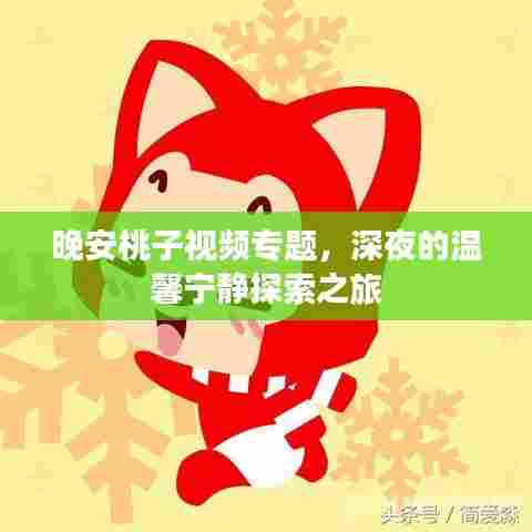 晚安桃子视频专题，深夜的温馨宁静探索之旅
