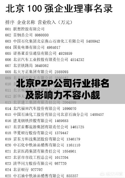 北京PZP公司行业排名及影响力不容小觑