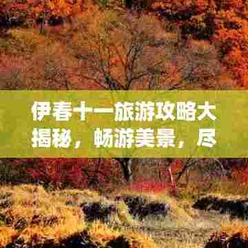伊春十一旅游攻略大揭秘，畅游美景，尽享秋日风情！