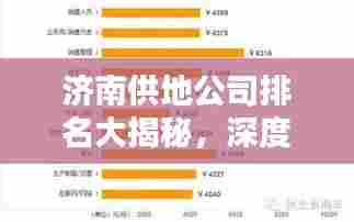 济南供地公司排名大揭秘，深度解析影响力与实力！