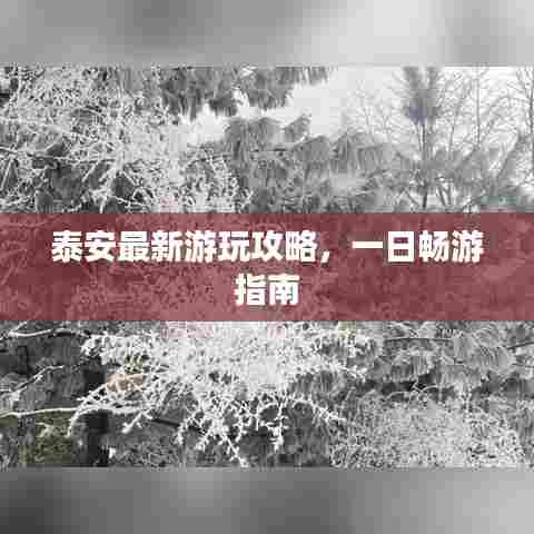 泰安最新游玩攻略，一日畅游指南