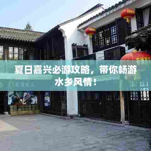 夏日嘉兴必游攻略，带你畅游水乡风情！