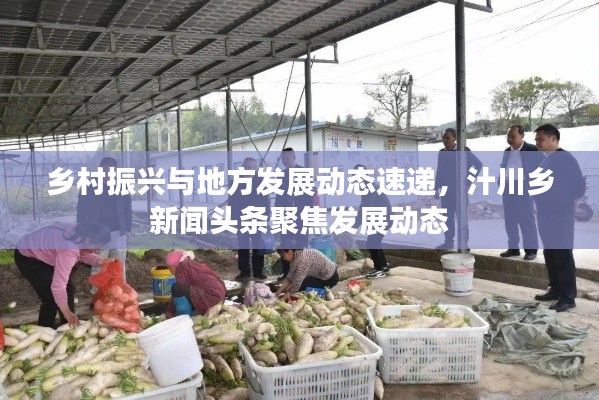 乡村振兴与地方发展动态速递，汁川乡新闻头条聚焦发展动态