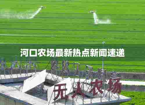 河口农场最新热点新闻速递