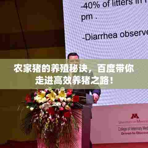 农家猪的养殖秘诀，百度带你走进高效养猪之路！