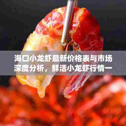 海口小龙虾最新价格表与市场深度分析，鲜活小龙虾行情一网打尽！