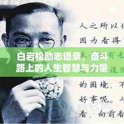 白岩松励志语录，奋斗路上的人生智慧与力量之源