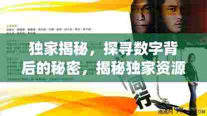 独家揭秘，探寻数字背后的秘密，揭秘独家资源故事！