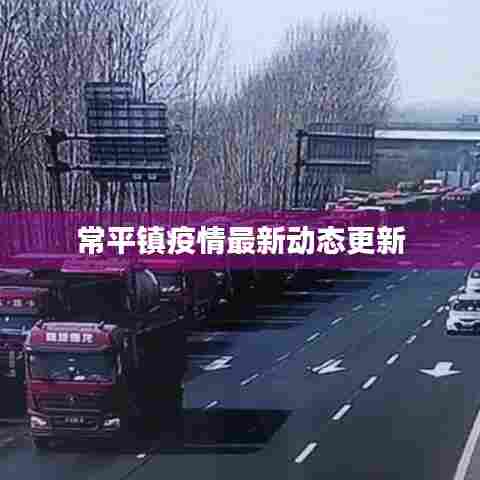 常平镇疫情最新动态更新