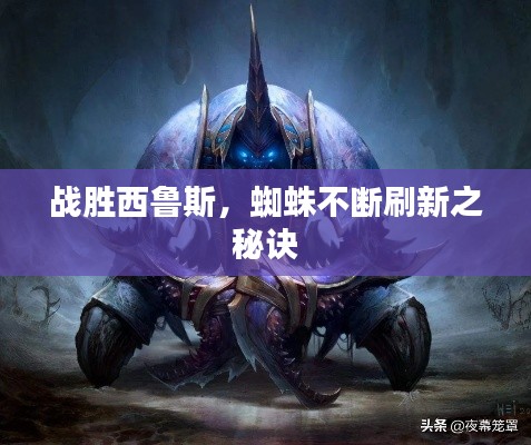 战胜西鲁斯，蜘蛛不断刷新之秘诀