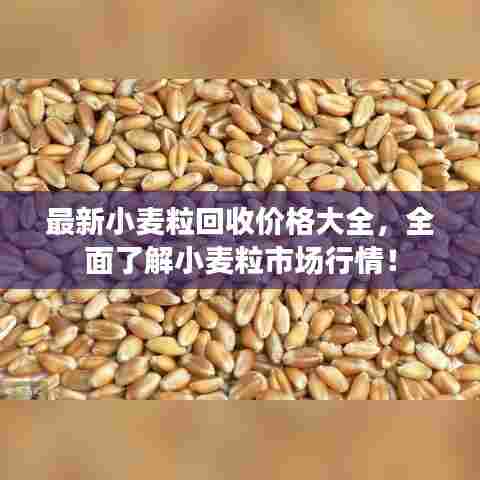 最新小麦粒回收价格大全，全面了解小麦粒市场行情！