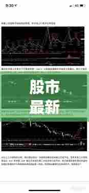 股市最新今日动态解读