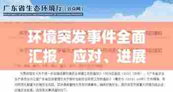 环境突发事件全面汇报，应对、进展与反思
