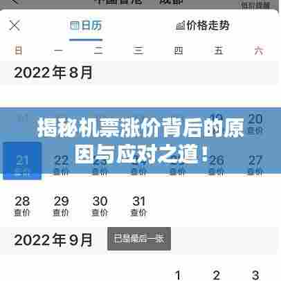 揭秘机票涨价背后的原因与应对之道！