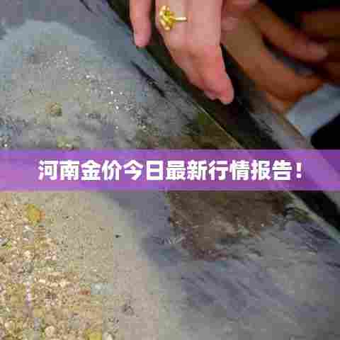 河南金价今日最新行情报告！