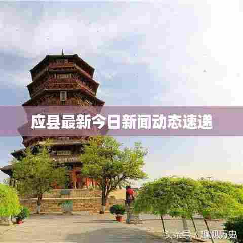 应县最新今日新闻动态速递