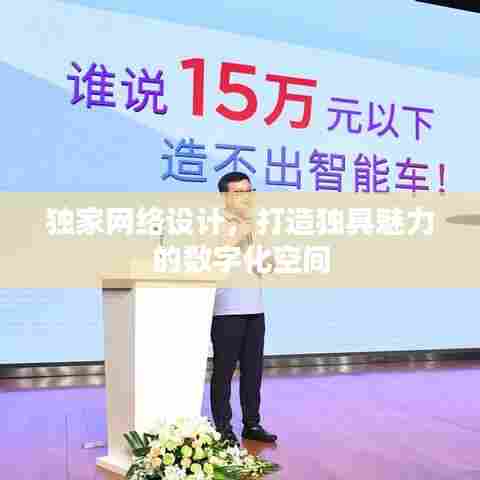 独家网络设计，打造独具魅力的数字化空间