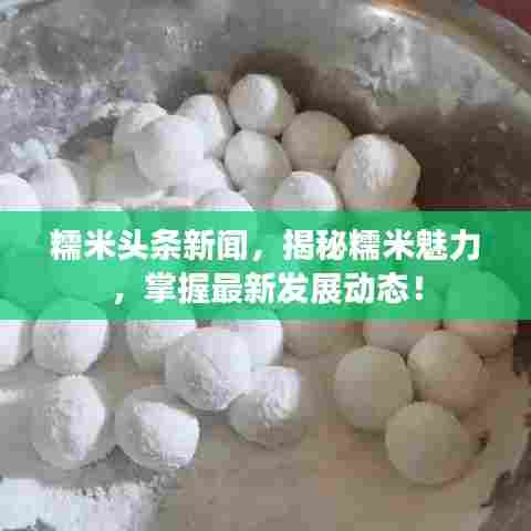 糯米头条新闻，揭秘糯米魅力，掌握最新发展动态！
