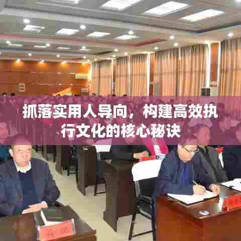 抓落实用人导向，构建高效执行文化的核心秘诀
