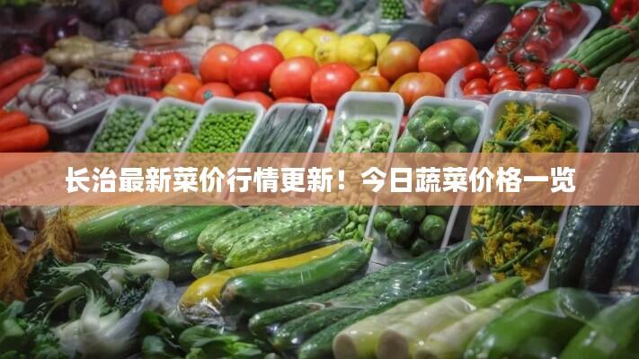 长治最新菜价行情更新！今日蔬菜价格一览