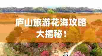 贵耳贱目 第6页