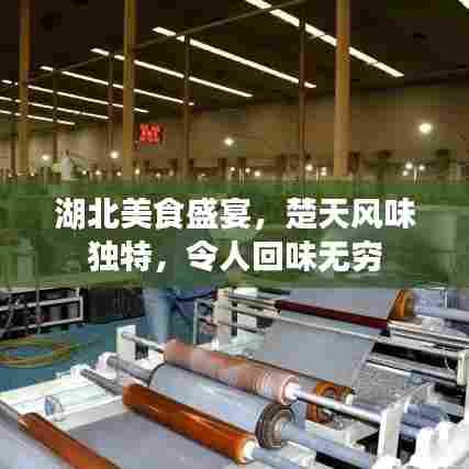 湖北美食盛宴，楚天风味独特，令人回味无穷