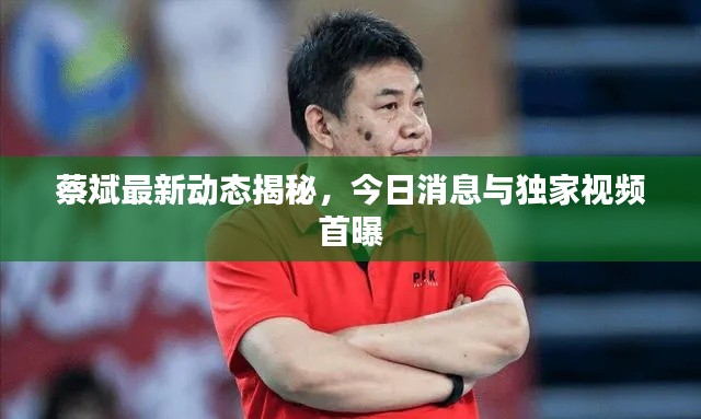 蔡斌最新动态揭秘，今日消息与独家视频首曝