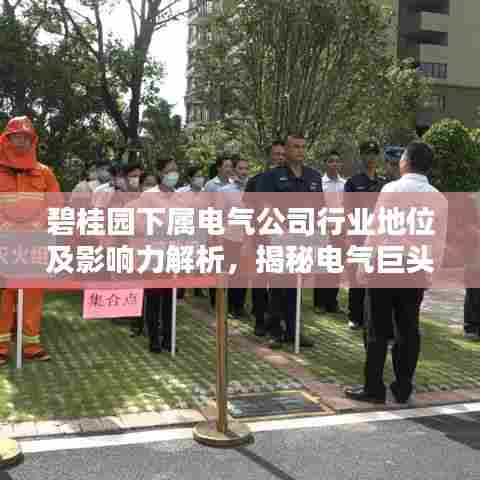 碧桂园下属电气公司行业地位及影响力解析，揭秘电气巨头排名！