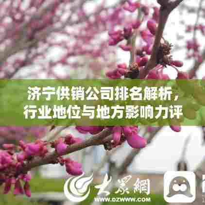 济宁供销公司排名解析，行业地位与地方影响力评估