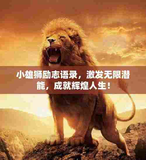 小雄狮励志语录，激发无限潜能，成就辉煌人生！