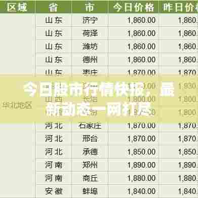 今日股市行情快报，最新动态一网打尽