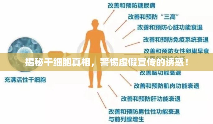 揭秘干细胞真相，警惕虚假宣传的诱惑！
